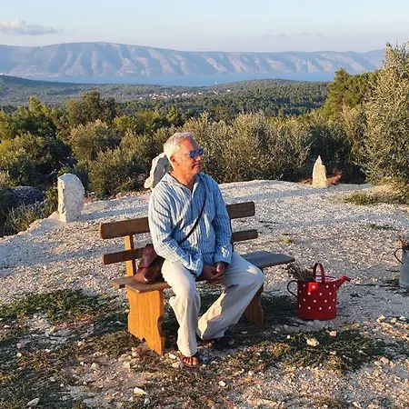 Hvar Stone Villa With Pool Vrbanj