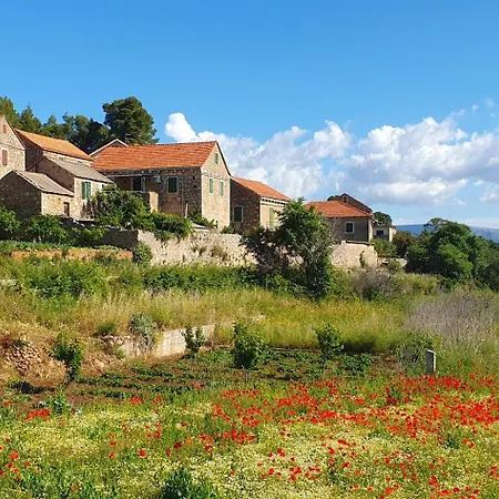 Holiday home Hvar Stone Villa With Pool Vrbanj