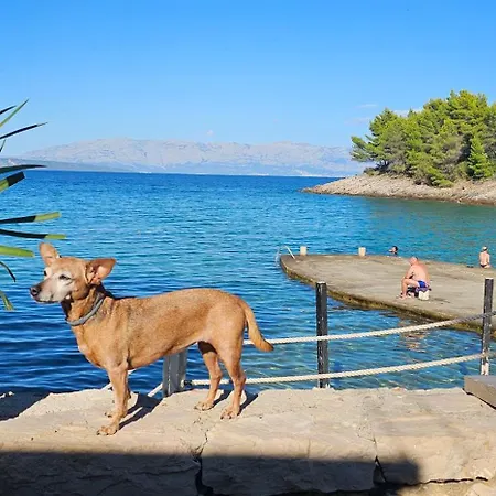 Hvar Stone With Pool *